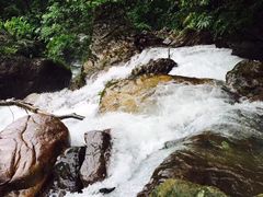 -西岭雪山大飞水景区