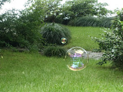 android_upload_pic-惠州西湖