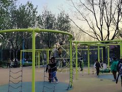 -张店儿童公园