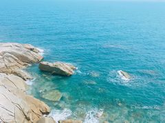-广东惠东海龟国家级自然保护区