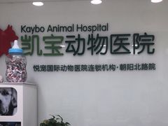 -悦宠凯宝动物医院·牙科·皮肤科(朝阳北路店)