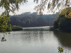 -深圳仙湖植物园
