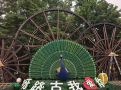 -呀路古热带植物园