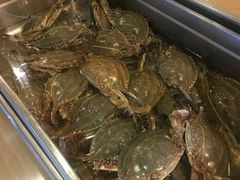 -丹东汇侨希尔顿花园酒店自助餐