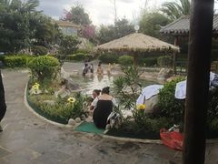 -大理地热国