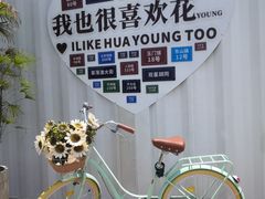 -西山漾湿地公园