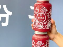 -野萃山·潮汕厚果汁(十亩地店)