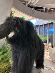 -IMON·HANSA潮玩玩偶毛绒玩具(通州万象汇店)