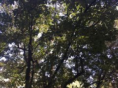 -吴裕泰茶庄(鼓楼店)