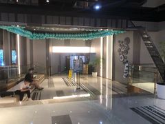 -上海金逸影城(静安大悦城店（原新恒星影城）)