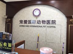 -宠爱国际动物医院· 猫科· 外科·中兽医(长白店)