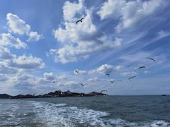 -海驴岛(荣成市)