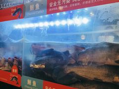 -三江源活鱼现烤(维多利摩尔城店)