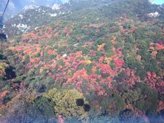 -少华山国家森林公园
