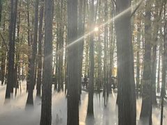 -东湖落雁景区