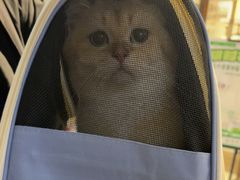-FAELING PETS美天灵宠物(富力广场店)