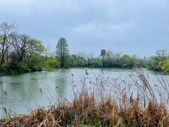 -新荣记(西溪湿地店)