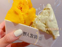 -野人先生现做冰淇淋(西安赛格店)