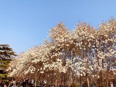 -睦南公园