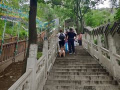 -沕沕水生态风景区