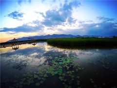 -敕勒川草原文化旅游区