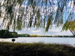 -大兴滨河森林公园