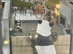 -老成都·古法采耳·禅洗头疗(四川总店)