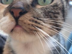 -平行世界·猫咖(首经贸店)