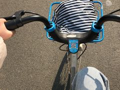 -白鹭湾湿地公园