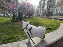 -哈尔滨师范大学(松北校区)