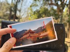 -灵隐飞来峰景区