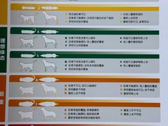 -瑞鹏宠物医院·普外科·影像科·皮肤科(城市山谷分院)