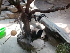-宁波野生动物园