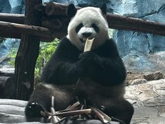 -乐和乐都主题乐园