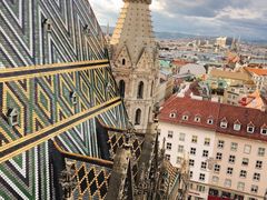 -斯蒂芬主教座堂(Stephansdom)