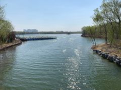 -大兴滨河森林公园