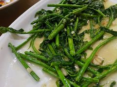 -兴隆槟榔园休闲农庄