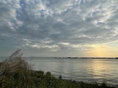 -芒洲湿地公园