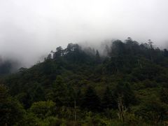 -石棉县孟获城
