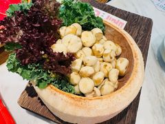 -椰子不语 椰子鸡火锅(淮海店)