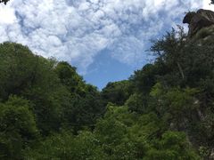 -青峰峡国家森林公园