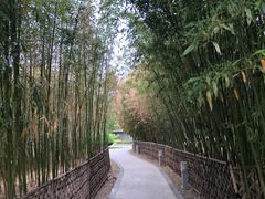 -春晖园度假酒店温泉