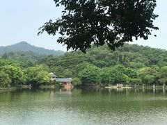 -孔雀园餐厅