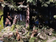-大庆市博物馆