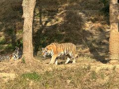 -杭州野生动物世界