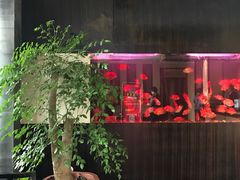 -大唐盲人按摩中心(黄山路店)