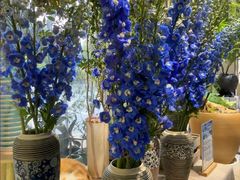 -弗劳尔花艺坊(龙涛店)