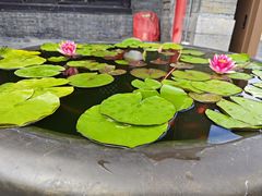 -慈恩寺