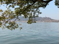 -知味观(湖滨店)