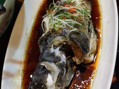 -碧丽宫大酒店(召稼楼店)